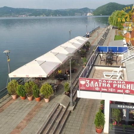 Zlatna Ribica Daire Golubac Dış mekan fotoğraf