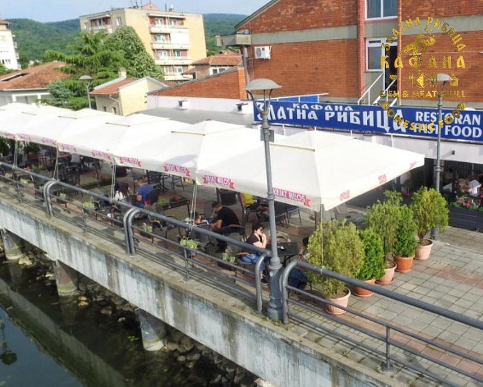Zlatna Ribica Daire Golubac Dış mekan fotoğraf