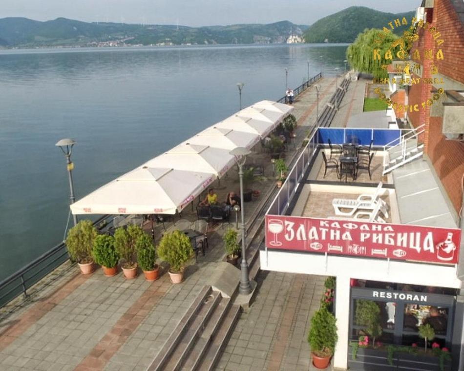 Zlatna Ribica Daire Golubac Dış mekan fotoğraf