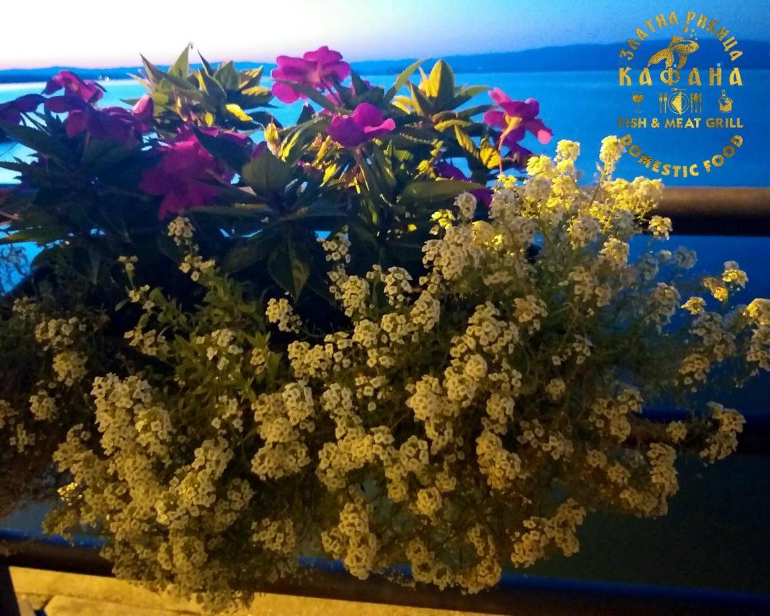 Zlatna Ribica Daire Golubac Dış mekan fotoğraf