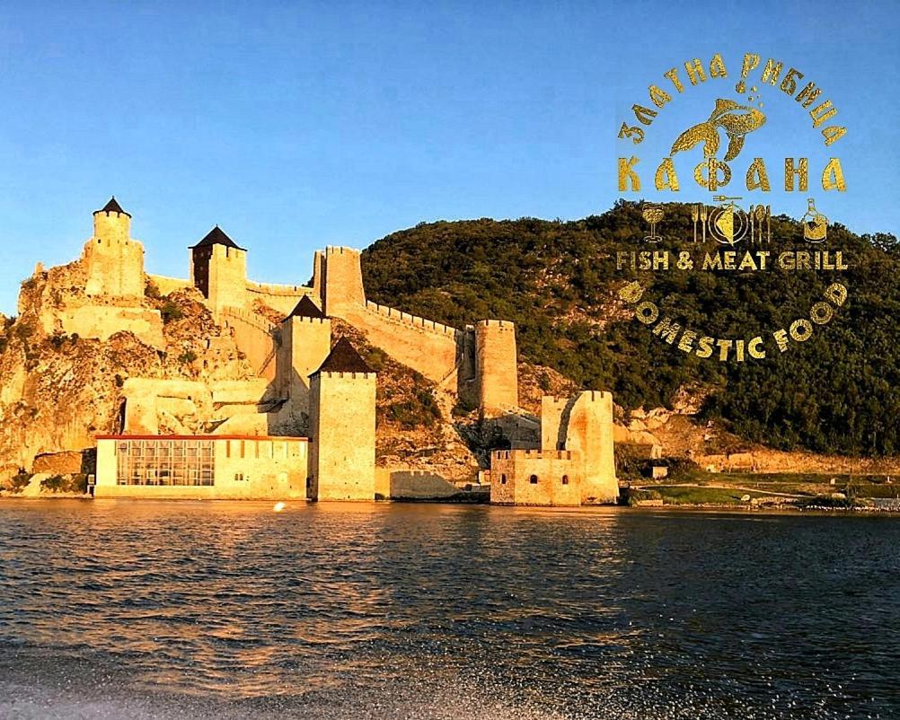Zlatna Ribica Daire Golubac Dış mekan fotoğraf