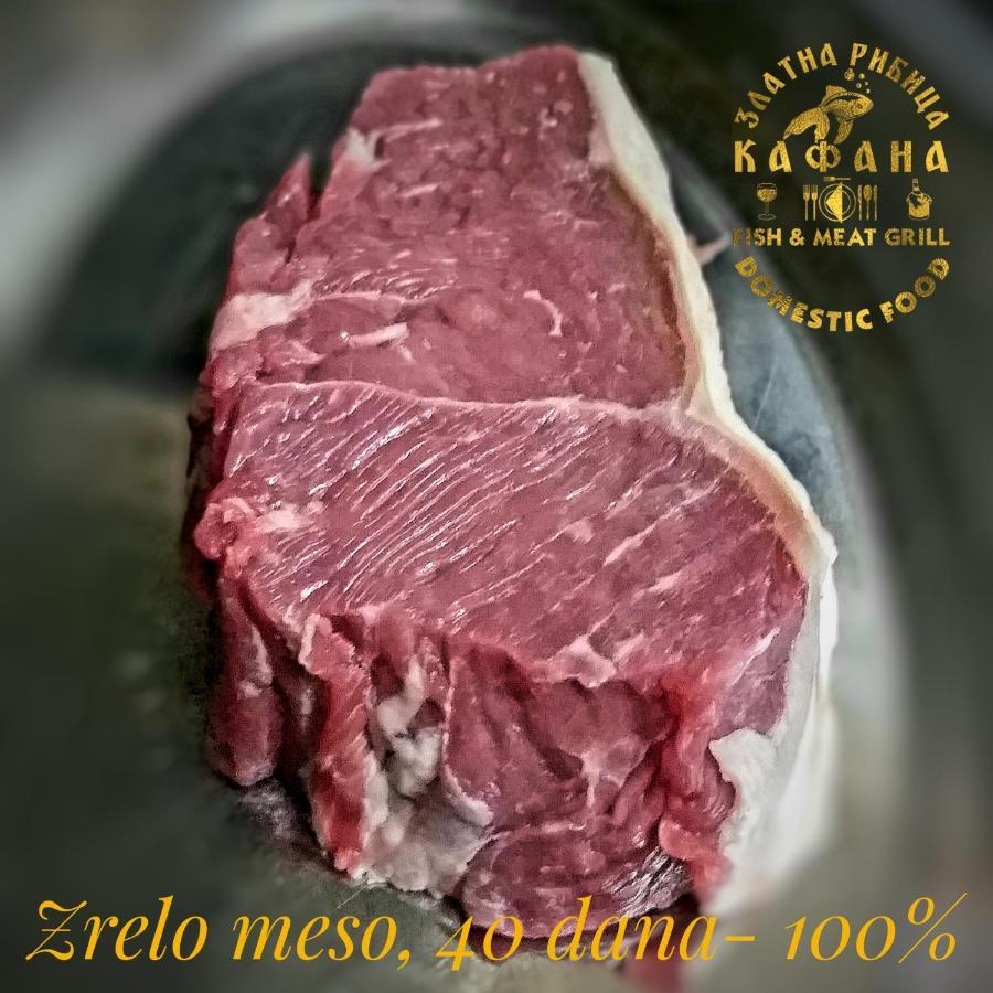 Zlatna Ribica Daire Golubac Dış mekan fotoğraf