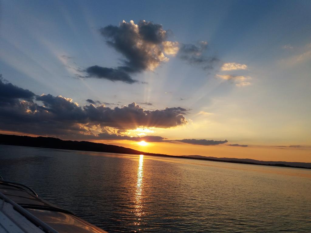 Zlatna Ribica Daire Golubac Dış mekan fotoğraf