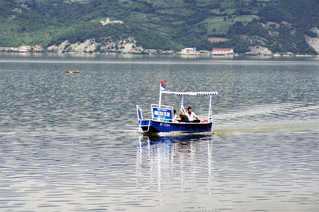 Zlatna Ribica Daire Golubac Dış mekan fotoğraf